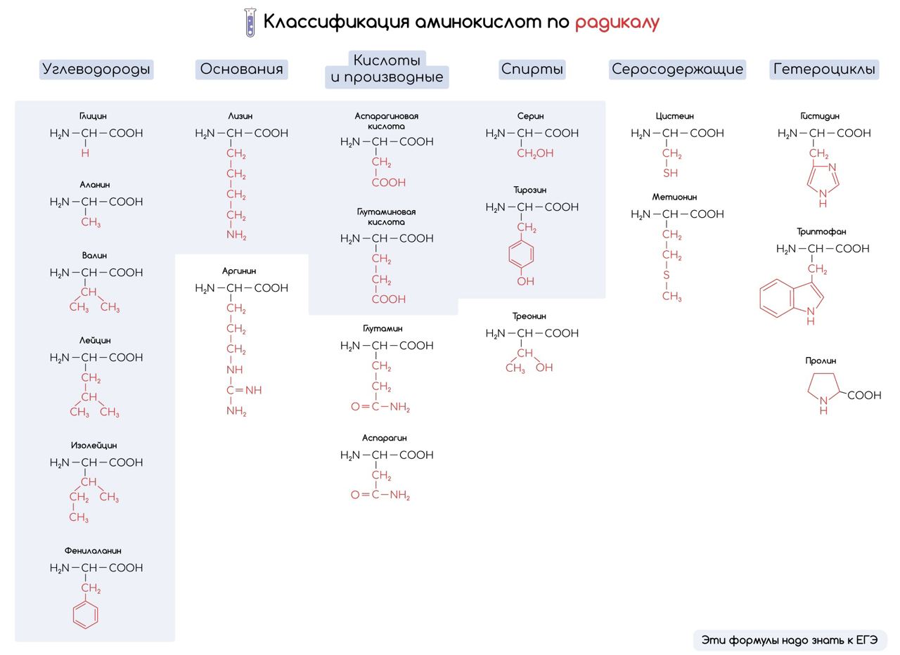 Формула амина в химии