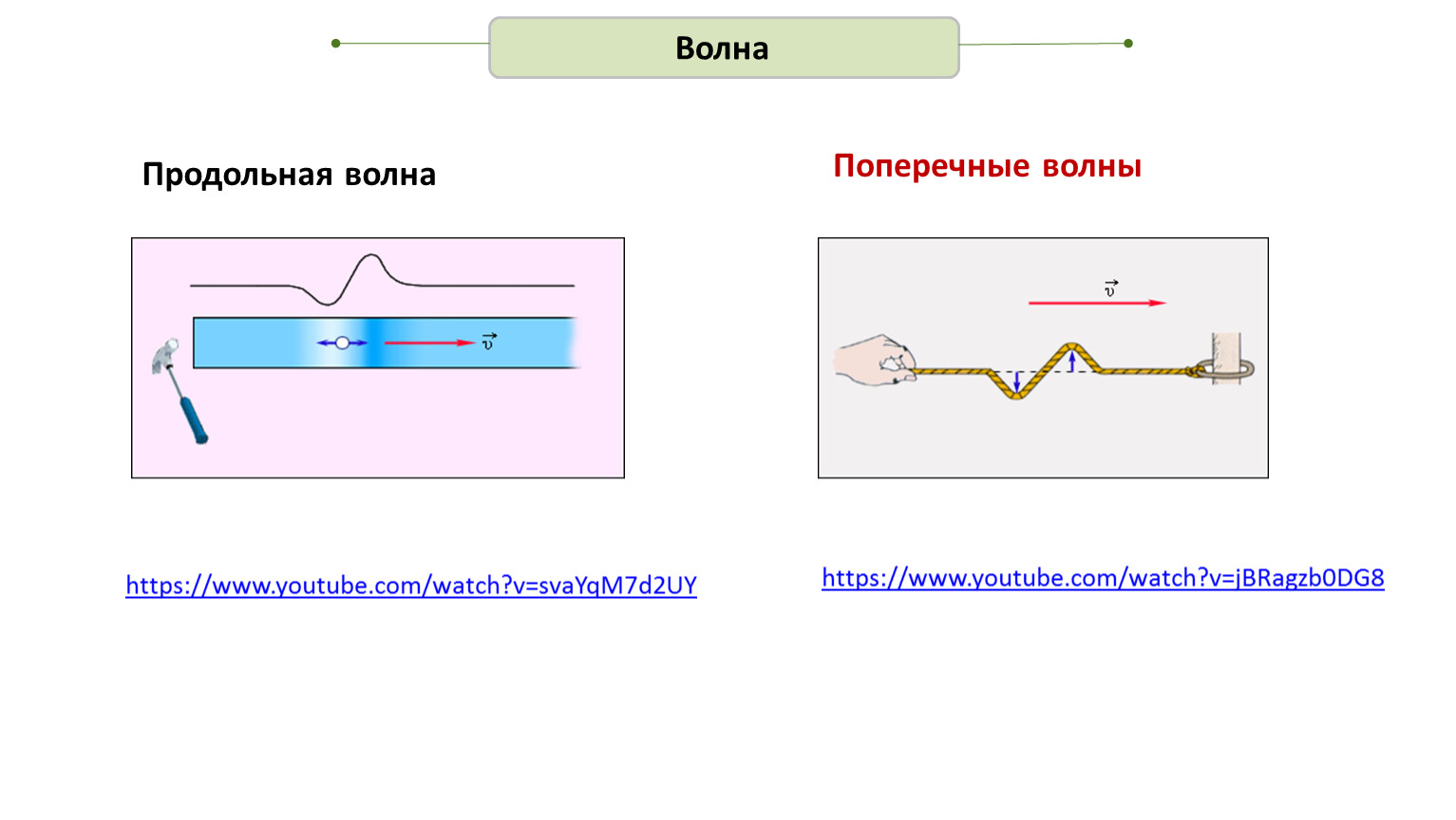 Продольные и поперечные волны в физике