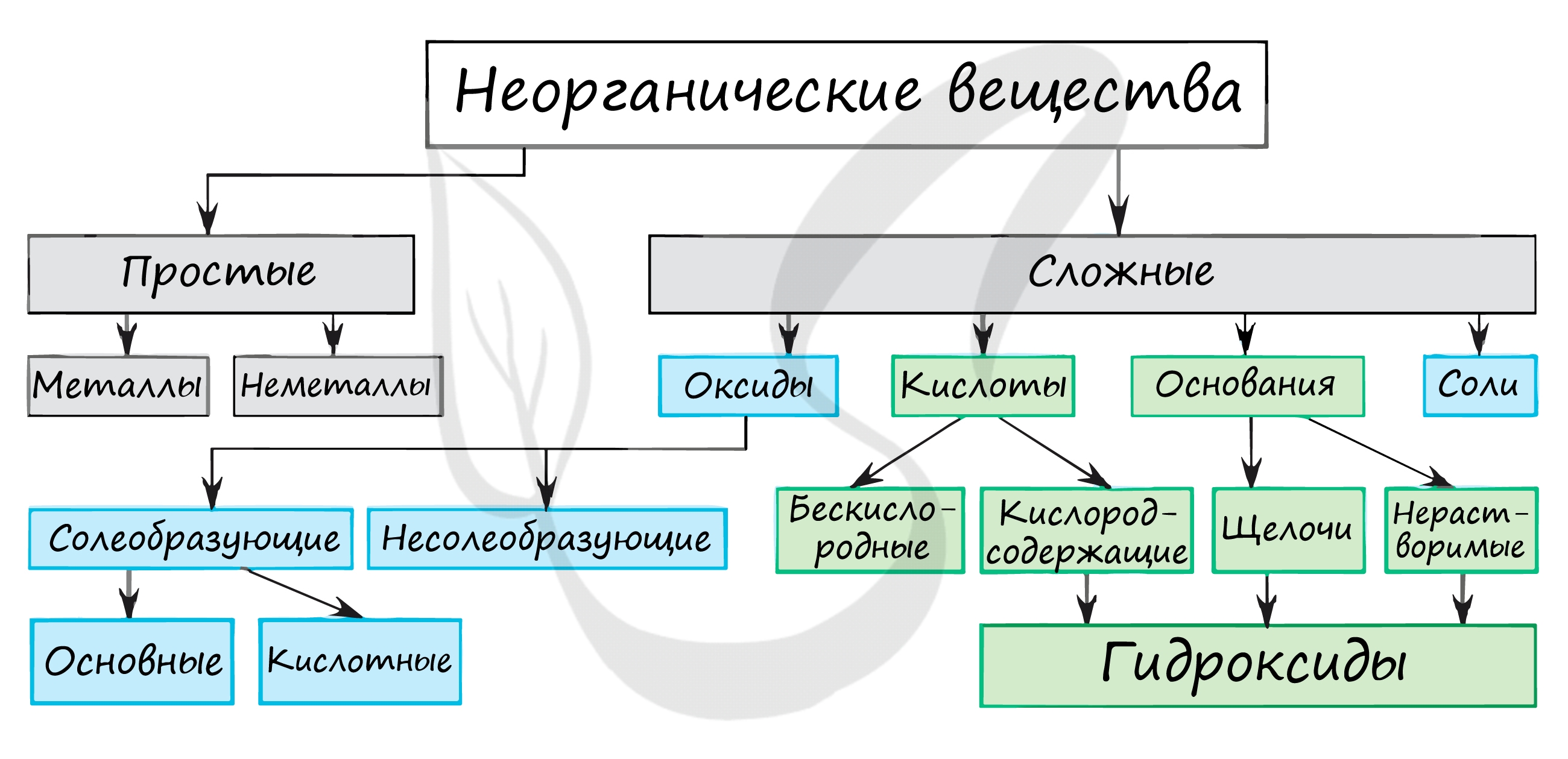 Кислоты органические и неорганические в химии