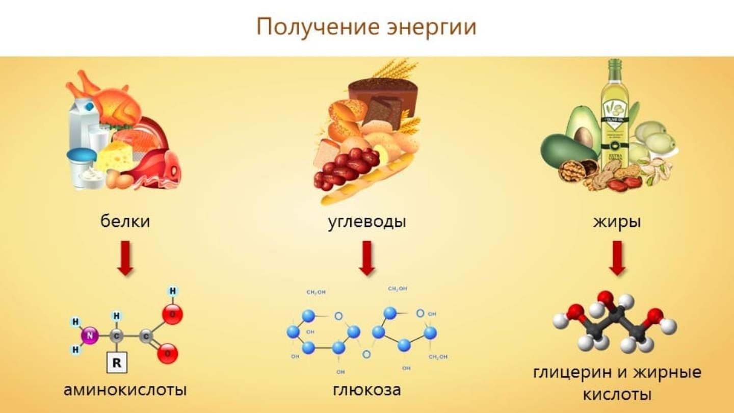 Гидролиз жиров, уравнения и примеры