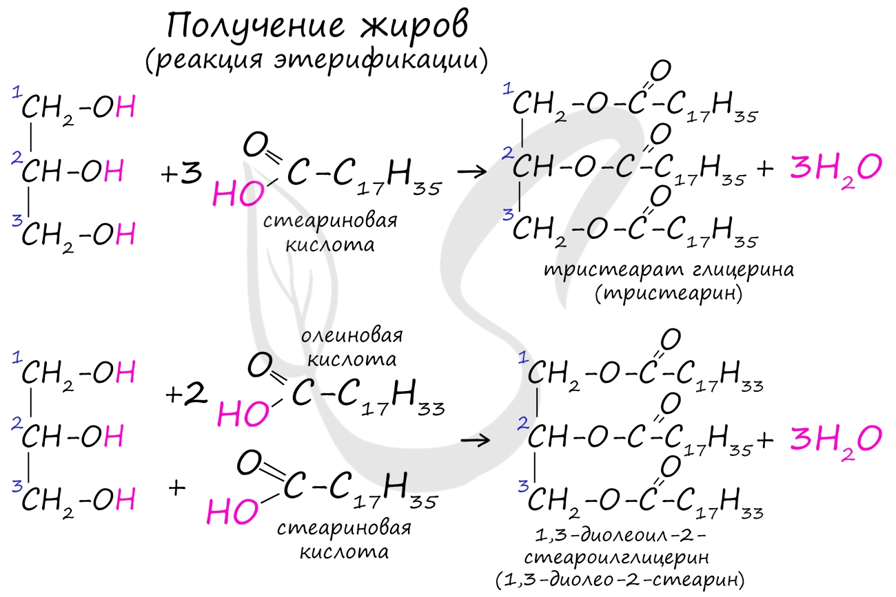 Гидролиз жиров, уравнения и примеры